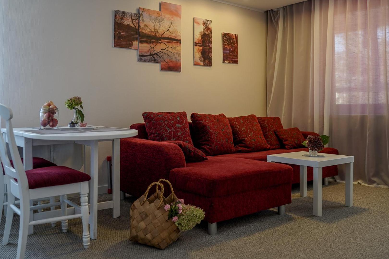 Apartamentai Birstono Centre Su Zidiniu *